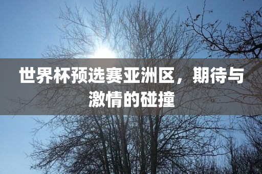 世界杯预选赛亚洲区，期待与激情的碰撞