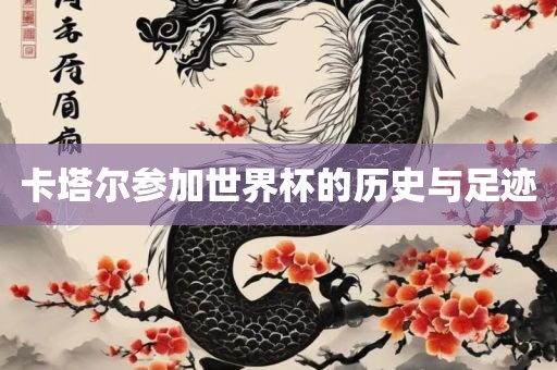 卡眉山市正发家政服务有限公司塔尔参加世界杯的历史与足迹