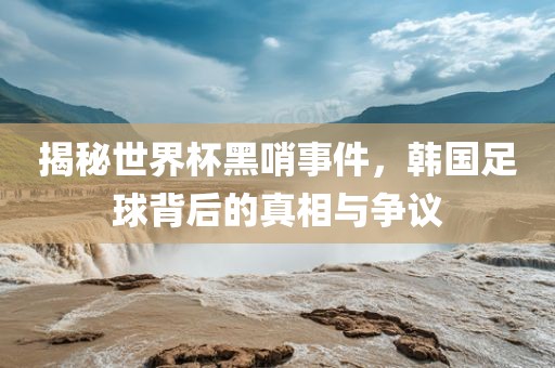 揭秘世界杯黑哨事件，韩国足球背后的真相与争议