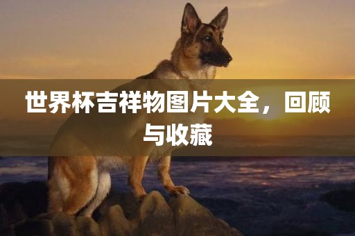 世界杯吉祥物图片大全，回顾与收藏