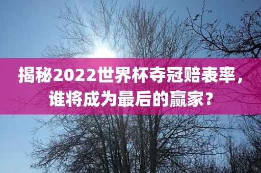 揭秘2022世界杯夺冠赔表率，谁将成为最后的赢家？眉山市正发家政服务有限公司