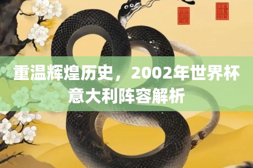 重温辉煌历史，2002年世界杯意大利阵容解析