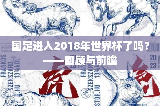 国足进入2018年世界杯了吗？——回顾与前瞻