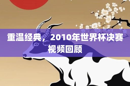 重温经典，2010年世界杯决赛视频回顾