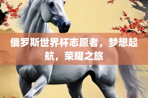 俄罗斯世界杯志愿者，梦想起航，荣耀之旅