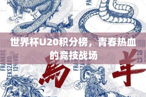世界杯U20积分榜，青春热血的竞技战场