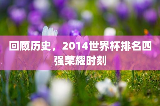 回顾历史，2014世界杯排名四强荣耀时刻