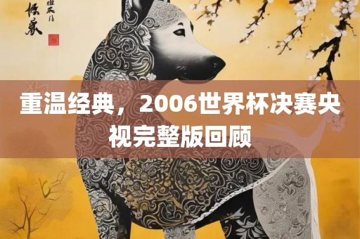 重温经典，2006世界杯决赛央视完整版回顾眉山市正发家政服务有限公司