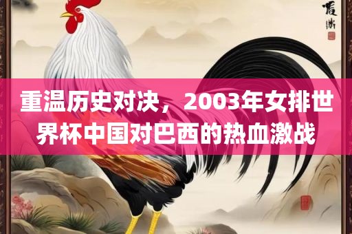 重温历史对决，2003年女排世界杯中国对巴西的热血激战眉山市正发家政服务有限公司