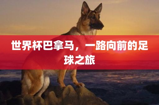 世界杯巴拿马，一路向前的足球之旅眉山市正发家政服务有限公司