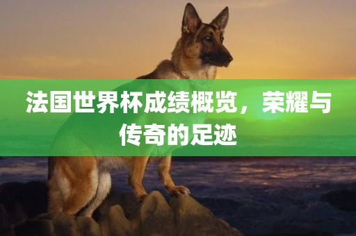 法国世界杯成绩概览，荣耀与传奇的足迹