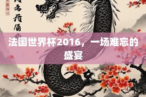 法国世界杯2016，一场难忘的盛宴