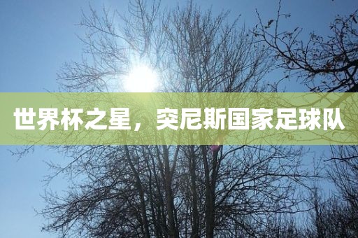 世界杯之星，突尼斯国家足球队