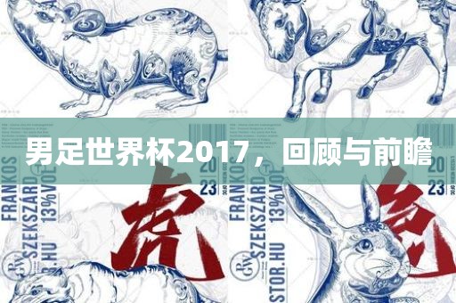 男足世界杯2017，回顾与前瞻眉山市正发家政服务有限公司