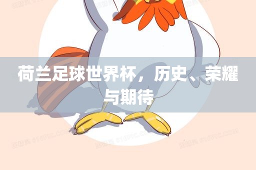 荷兰足球世界杯，历史、荣耀与期待眉山市正发家政服务有限公司