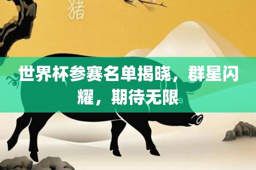 世界杯参赛名单揭晓，群星闪耀，期待无限