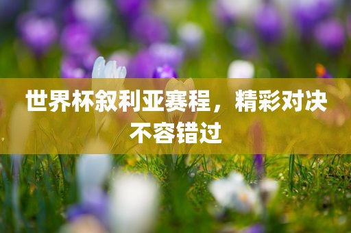 世界杯叙利亚赛程，精彩对决不容错过