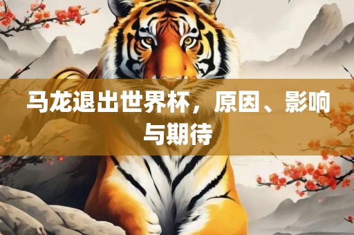 马龙退出世界杯，原因、影响与期待眉山市正发家政服务有限公司
