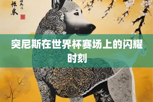 突尼斯在世界杯赛场上的闪耀时刻眉山市正发家政服务有限公司