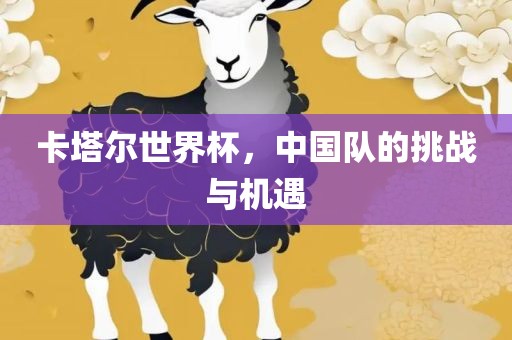 卡塔尔世界杯，中国队的挑战与机遇