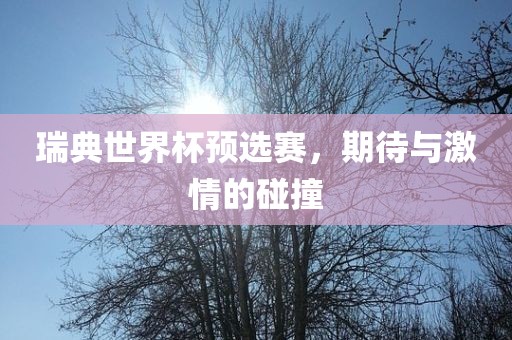 瑞典世界杯预选赛，期待与激情的碰撞