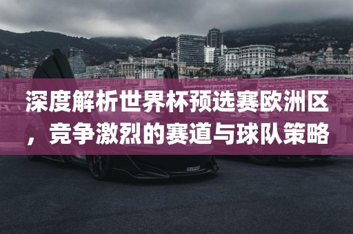眉山市正发家政服务有限公司深度解析世界杯预选赛欧洲区，竞争激烈的赛道与球队策略