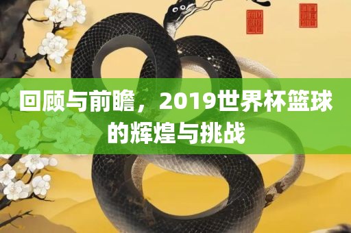 回顾与前瞻，2019世界杯篮球的辉煌与挑战