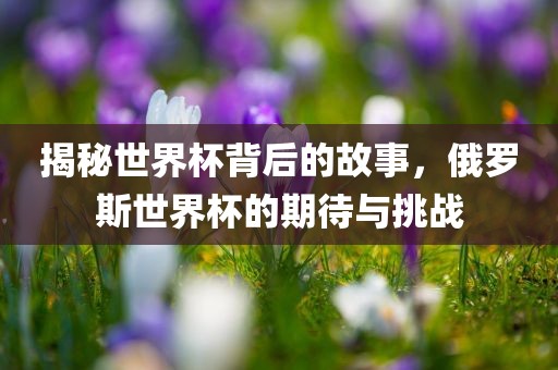揭秘世界杯背后的故事，俄罗斯世界杯的期待与挑战