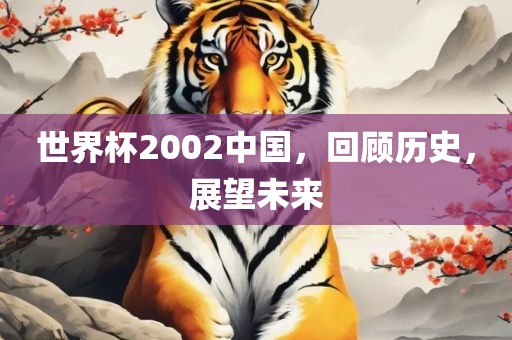 世界杯2002中国，回顾历史，展望未来