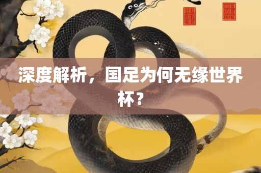深度解析，国足为何无缘世界杯？