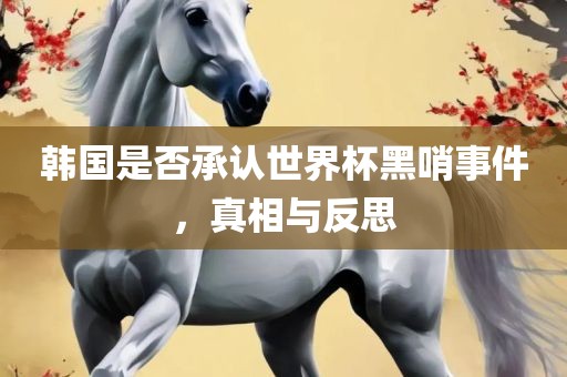 韩国是否承认世界杯黑哨事件，真相与反思