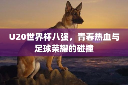 U20世界杯八强，青春热血与足球荣耀的碰撞