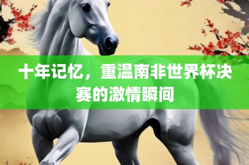 十年记忆，重温南非世界杯决赛的激情瞬间