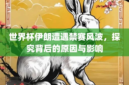 世界杯伊朗遭遇禁赛风波，探究背后的原因与影响