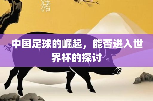 中国足球的崛起，能否进入世界杯的探讨