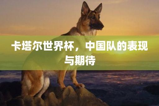 卡塔尔世界杯，中国队的表现与期待