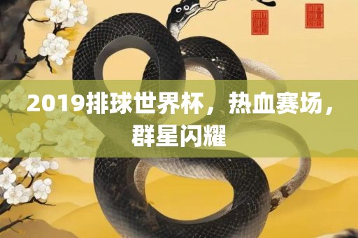 2019排球世界杯，热血赛场，群星闪耀眉山市正发家政服务有限公司