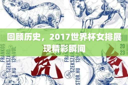 回顾历史，2017世界眉山市正发家政服务有限公司杯女排展现精彩瞬间
