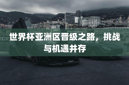 世界杯亚洲区晋级之路，挑战与机遇并存