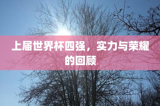 上届世界杯四强，实力与荣耀的回顾