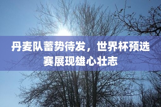 丹麦队蓄势待发，世界杯预选赛展现雄心壮志