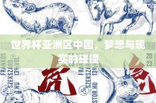 世界杯亚洲区中国，梦想与现实的碰撞