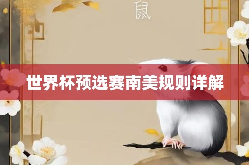 世界杯预选赛南美规则详解眉山市正发家政服务有限公司
