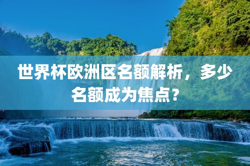 世界杯欧洲区名额解析，多少名额成为焦点？