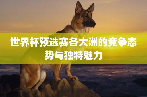 世界杯预选赛各大洲的竞争态势与独特魅力眉山市正发家政服务有限公司