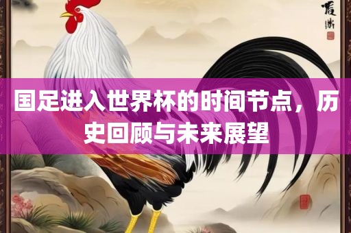国足进入世界杯的时间节点，历史回顾与未来展望