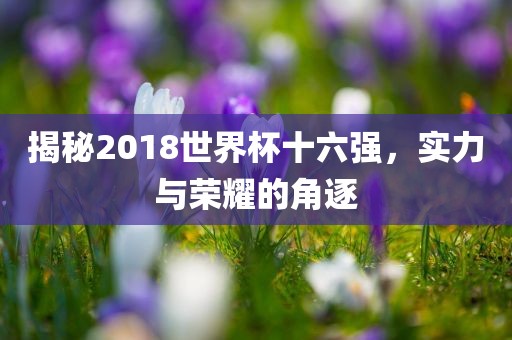 揭秘2018世界杯十六强，实力与荣耀的角逐