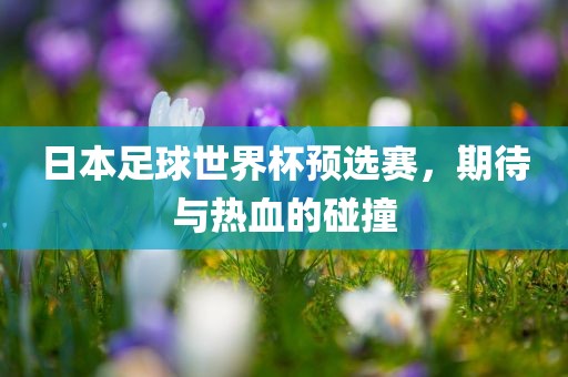 日本足球世界杯预选赛，期待与热血的碰撞