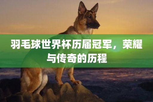 羽毛球世界杯历届冠军，荣耀与传奇的历程
