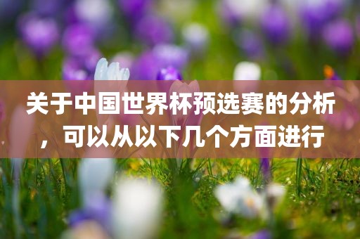 关于中国世界杯预选赛的分析，可以从以下几个方面进行